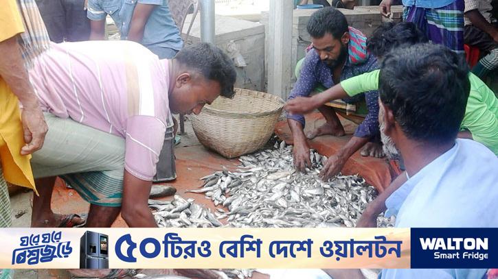 ‘মাছে-ভাতে বাঙালি’: বিশ্বে বাংলাদেশের নতুন জয়গান