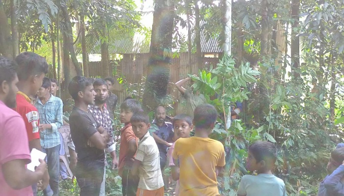 পূর্বধলায় গর্ভপাত ঘটিয়ে নবজাতক হত্যার অভিযোগ ; জঙ্গলে মরদেহ উদ্ধার