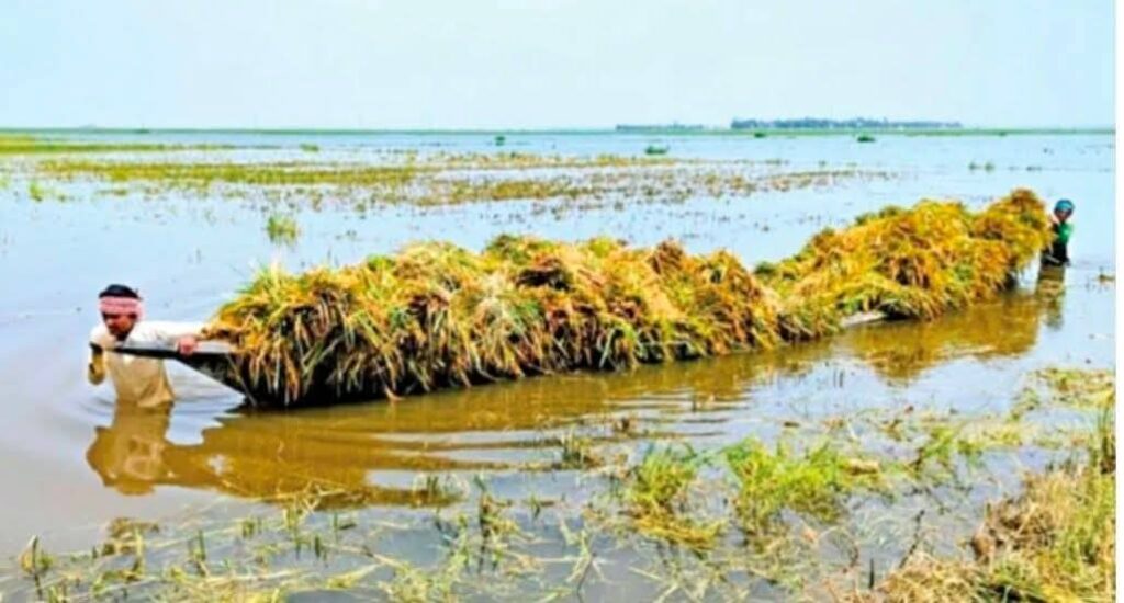 কংশ ভূগাই নদীর পানি বিপদসীমা ৮৭ সেঃ মিঃ উপর দিয়ে প্রবাহিত