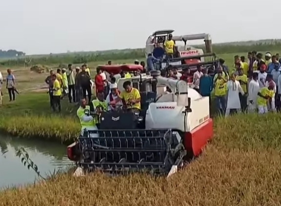 বোরো ধান কাটা উৎসব উদ্বোধন করলেন সাবেক স্বরাষ্ট্র প্রতিমন্ত্রী লুৎফুজ্জামান বাবর 