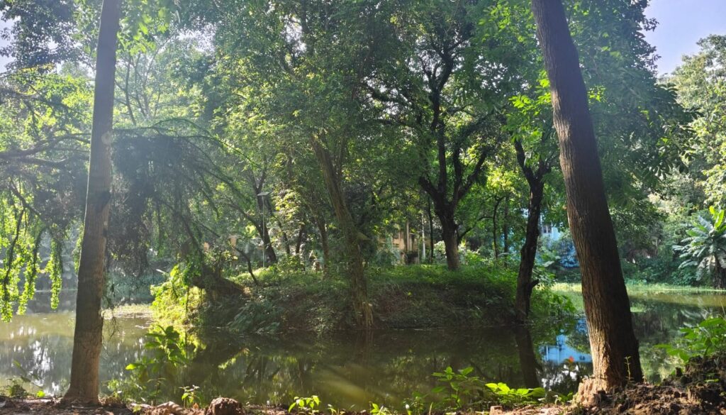 গৌরীপুরের ঐতিহ্য রক্ষায় দ্বীপাকৃতির পুকুর সংরক্ষণের উদ্যোগ প্রয়োজন